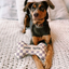 Haute Diggity Dog - Checker Chewy Vuiton Bone Dog Toy