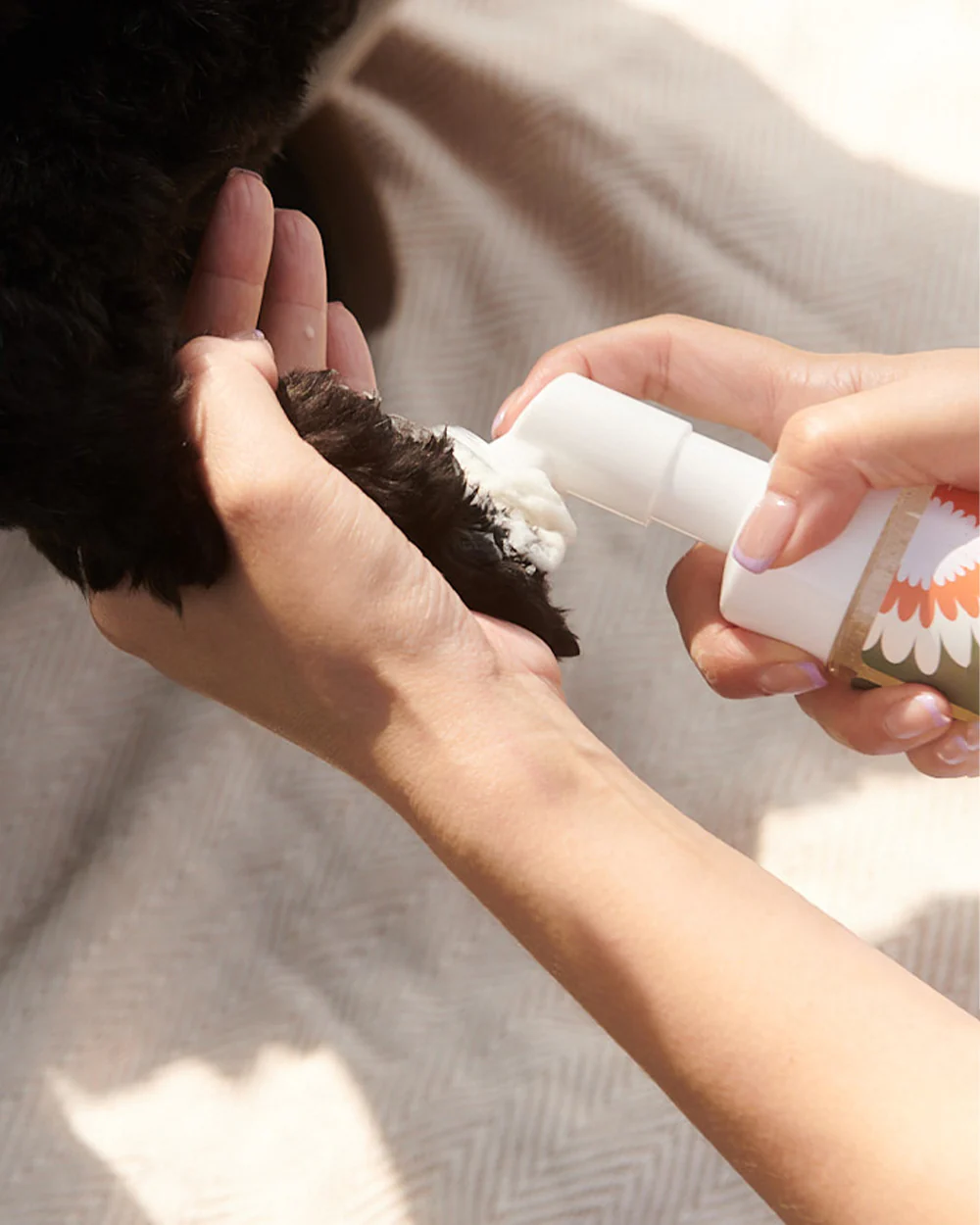 Dandylion - Clean Paws No-Rinse Foaming Cleanser Refill