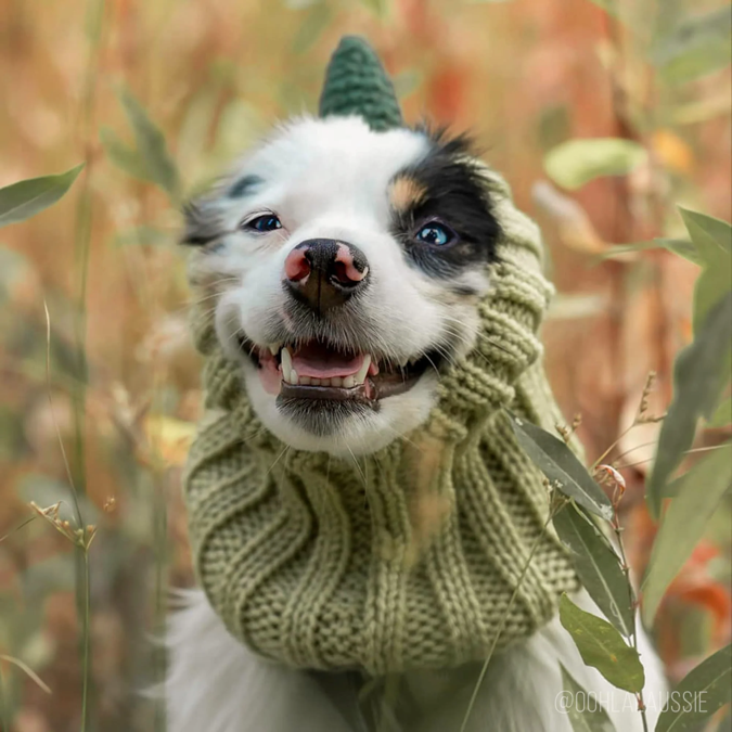 Zoo Snoods - Dinosaur