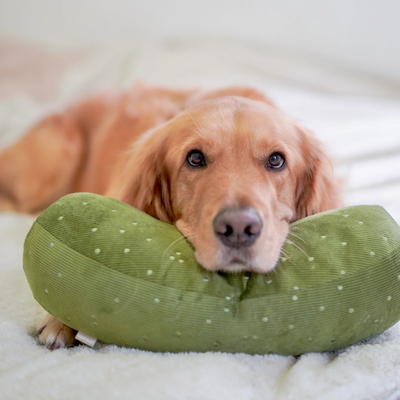 Lambwolf Collective - Giant Pickle Dog Toy