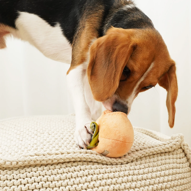 Lambwolf Collective - Persimmon Dog Toy