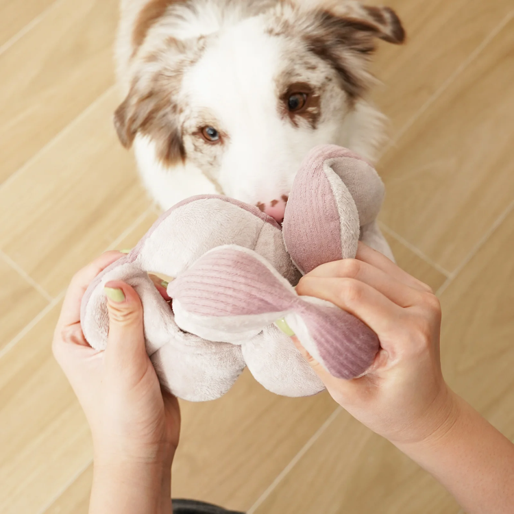 Lambwolf Collective - Monti Dog Toy