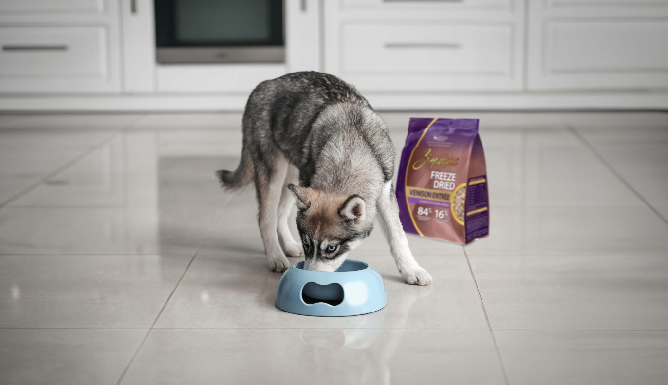 Zignature - Freeze-Dried Dog Entrée