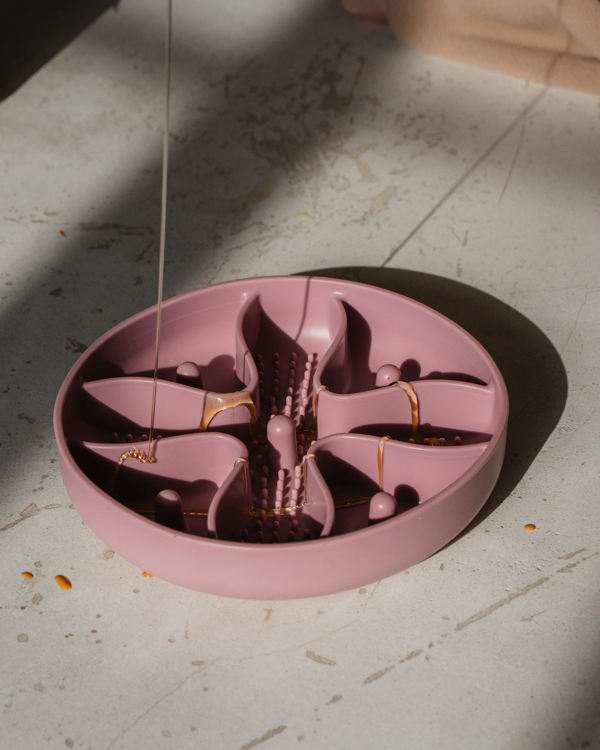 Dexypaws - Blush Pink Hide & Seek Slow Feeder