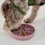Dexypaws - Blush Pink Hide & Seek Slow Feeder