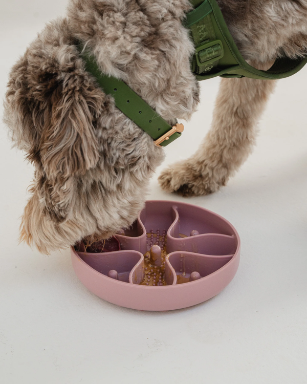 Dexypaws - Blush Pink Hide & Seek Slow Feeder