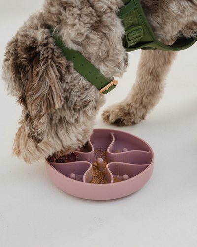 Dexypaws - Blush Pink Hide & Seek Slow Feeder