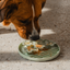 Dexypaws - Flower Hide & Seek Slow Feeder - Sage Green