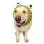 Zoo Snoods - Frog