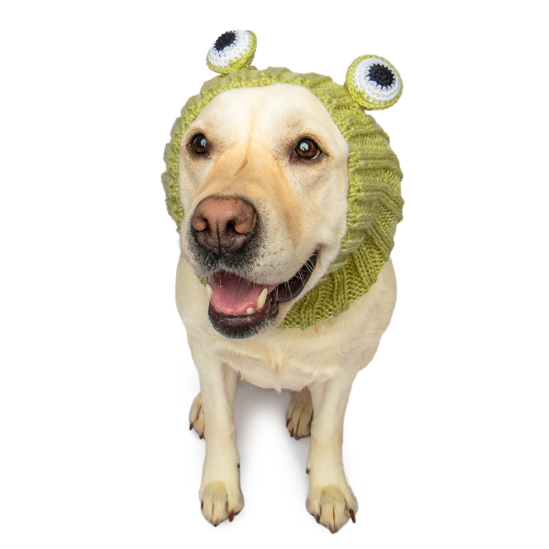Zoo Snoods - Frog