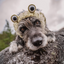 Zoo Snoods - Frog