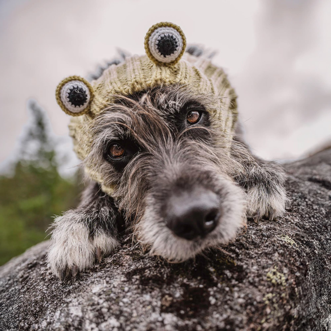 Zoo Snoods - Frog