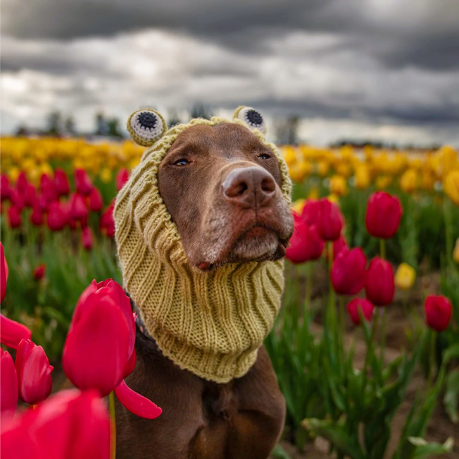 Zoo Snoods - Frog