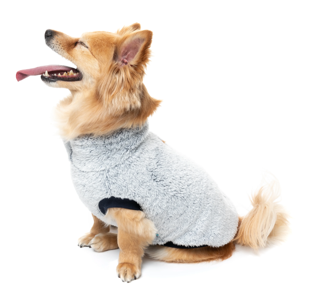 Fuzzyard - Frosted Teddy Sweater