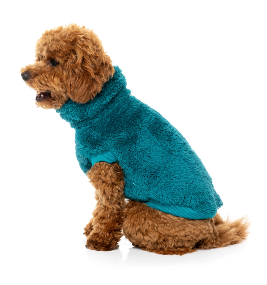 Fuzzyard - Turtle Teddy Sweater