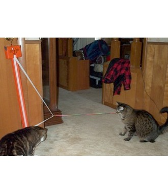 Moody Pet - Fling-Ama-String