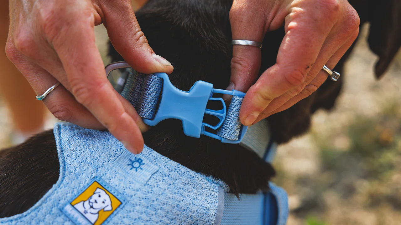 Ruffwear - Front Range Flex Collar