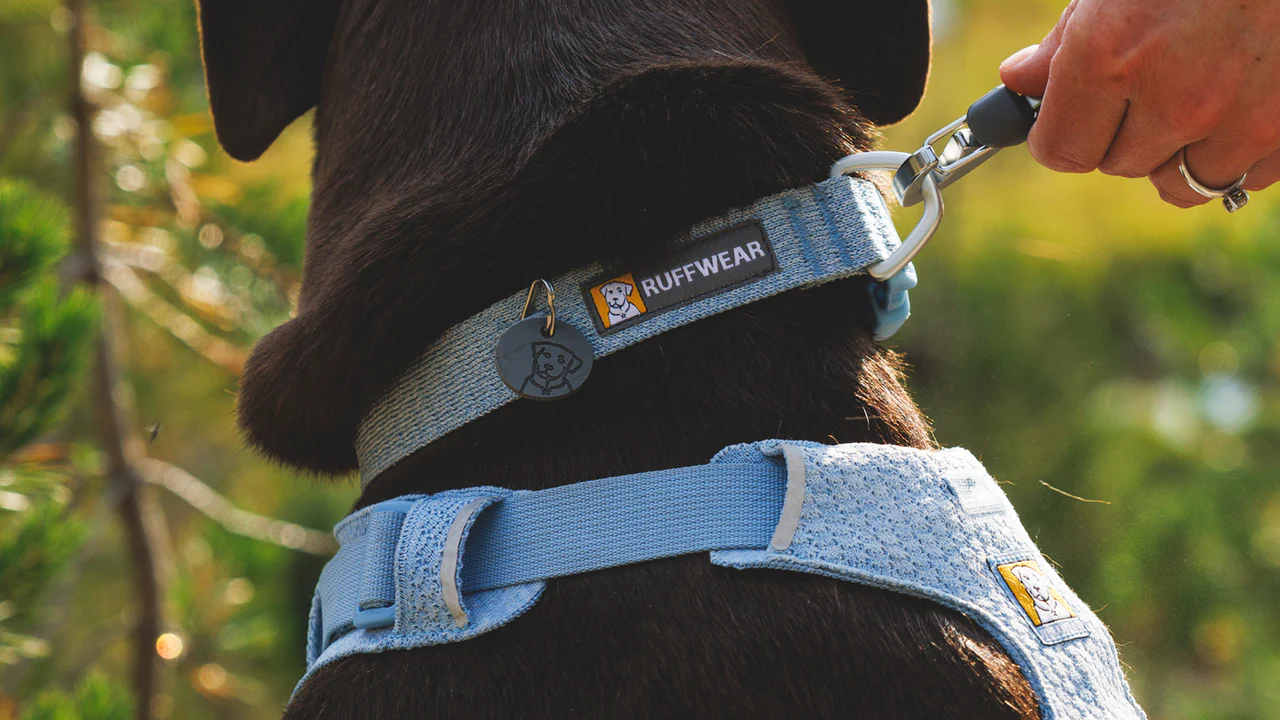 Ruffwear - Front Range Flex Collar