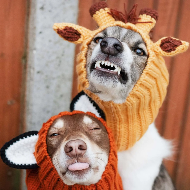 Zoo Snoods - Giraffe