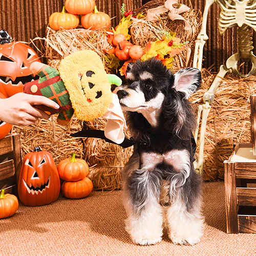 HugSmart - Fall & Halloween Scarecrow