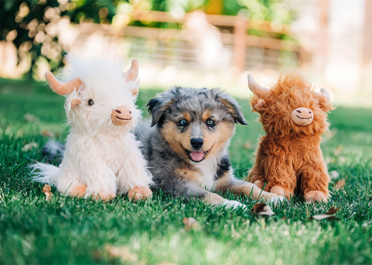 Multipet - Highland Cow