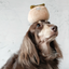 Lambwolf Collective - Persimmon Dog Toy