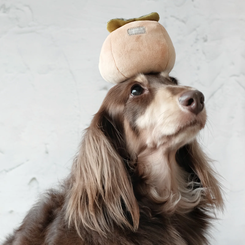 Lambwolf Collective - Persimmon Dog Toy