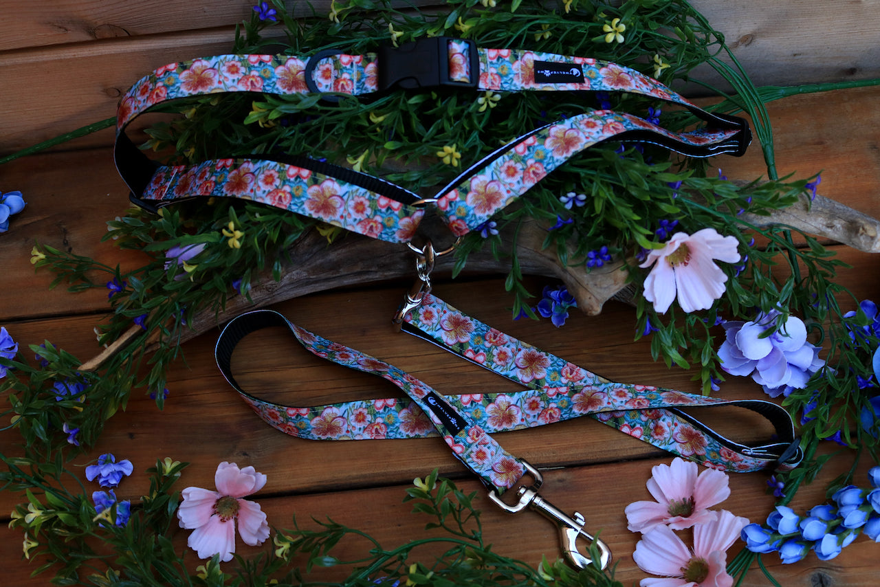 TwelvePaws - Waist Leash