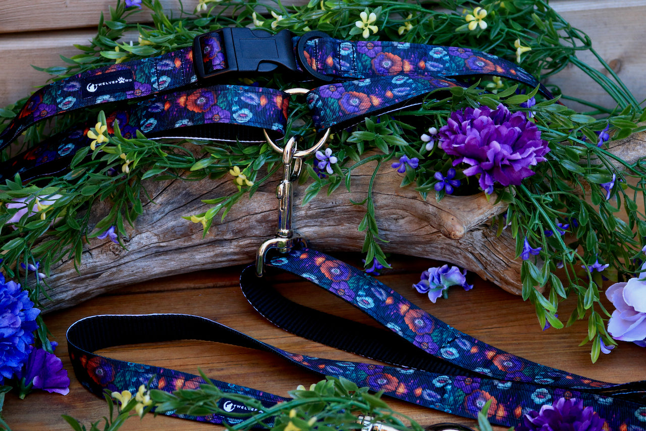 TwelvePaws - Waist Leash