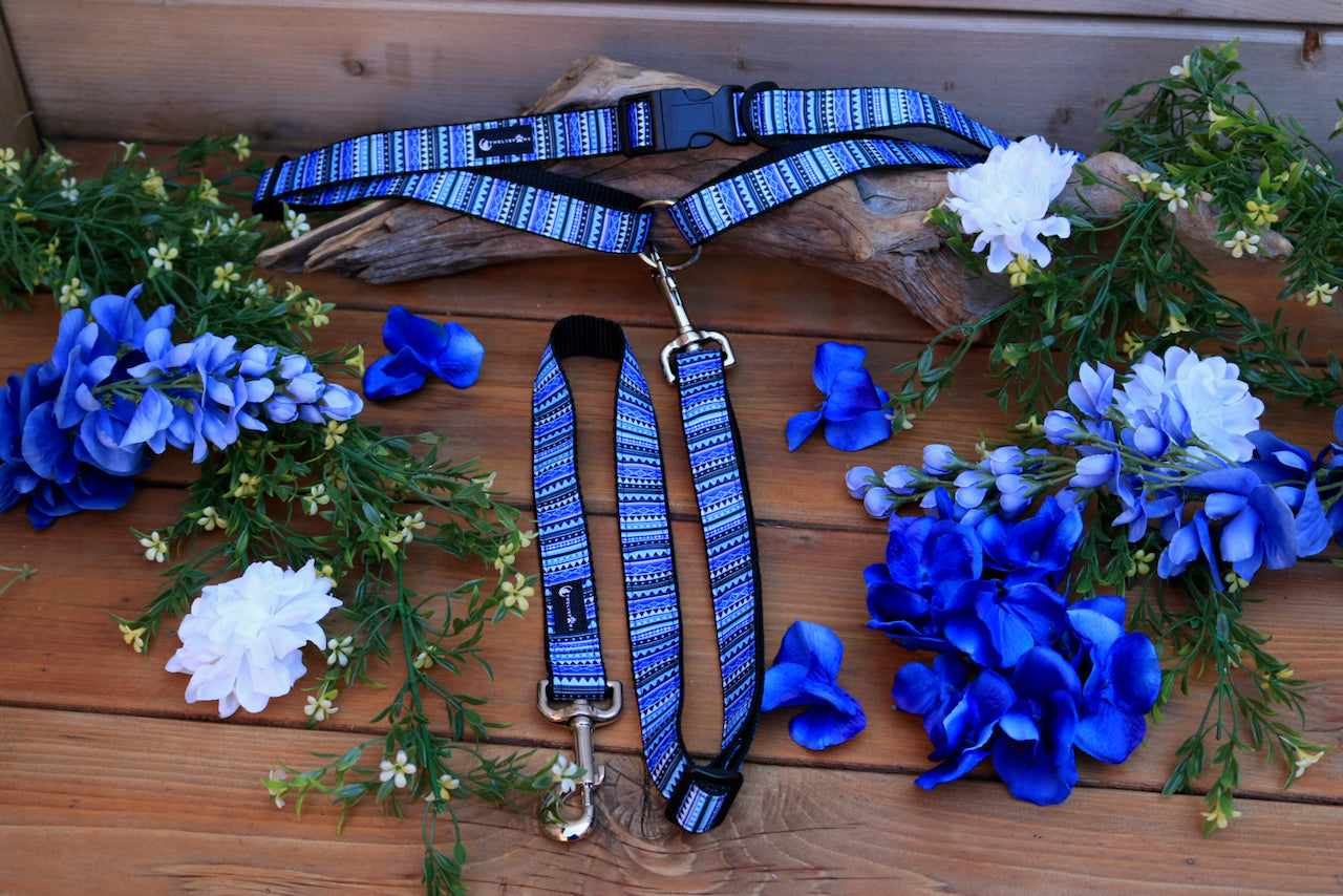 TwelvePaws - Waist Leash