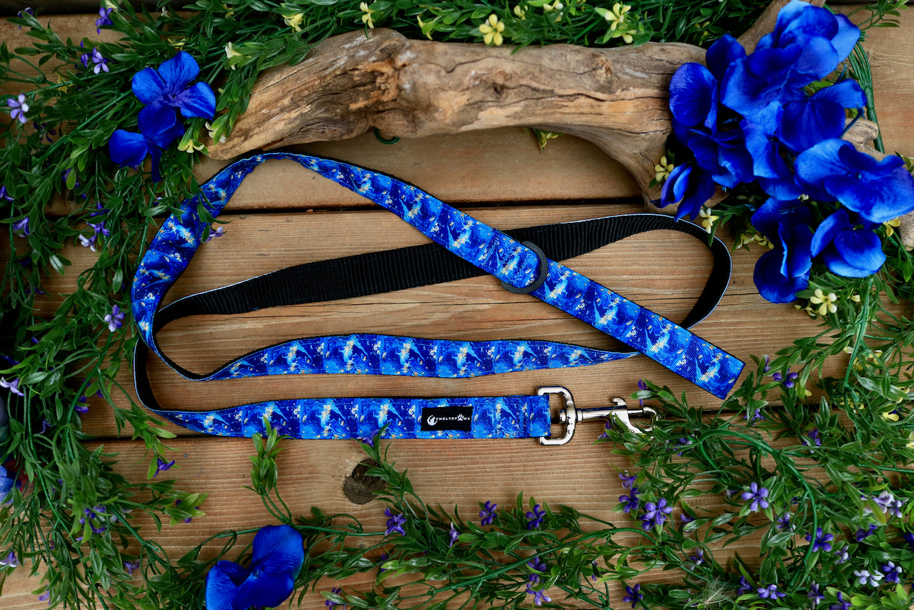 TwelvePaws - Standard Leash