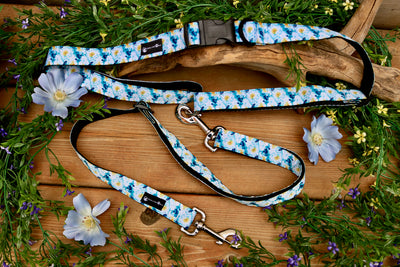 TwelvePaws - Waist Leash