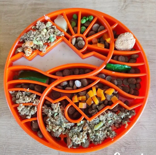 SodaPup - Sun and Moon Shallow Slow Feeder Enrichment Bowl