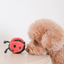 Lambwolf Collective - Ladybug Pop Dog Toy