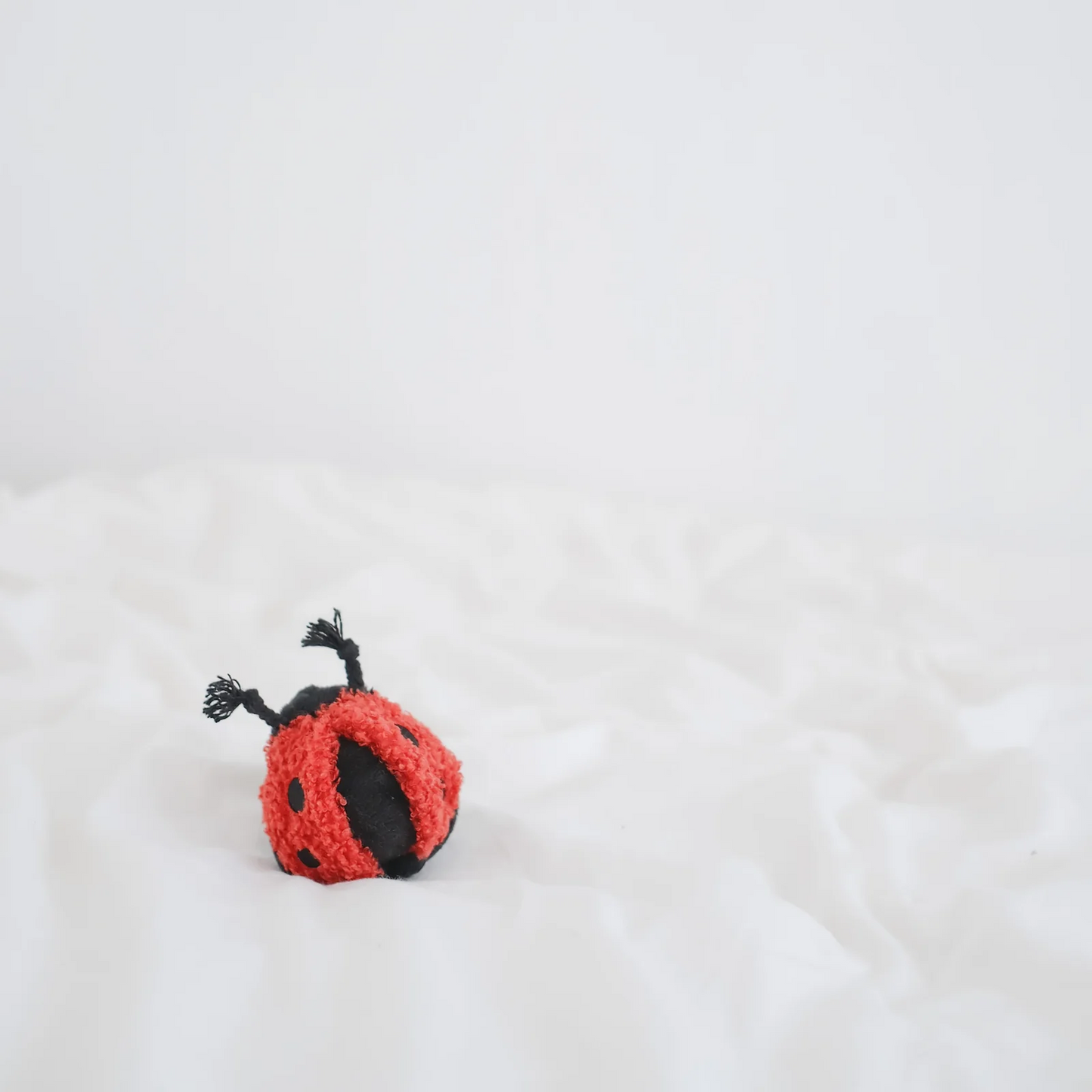 Lambwolf Collective - Ladybug Pop Dog Toy