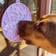 SodaPup - Lotus Design Enrichment Lick Mat with Suction Cups
