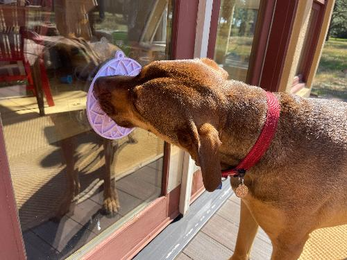 SodaPup - Lotus Design Enrichment Lick Mat with Suction Cups