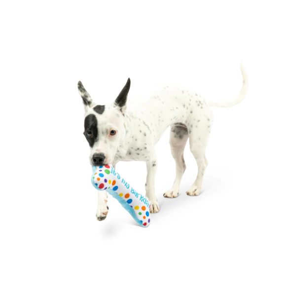 Huxley & Kent - It's My Barkday Bone