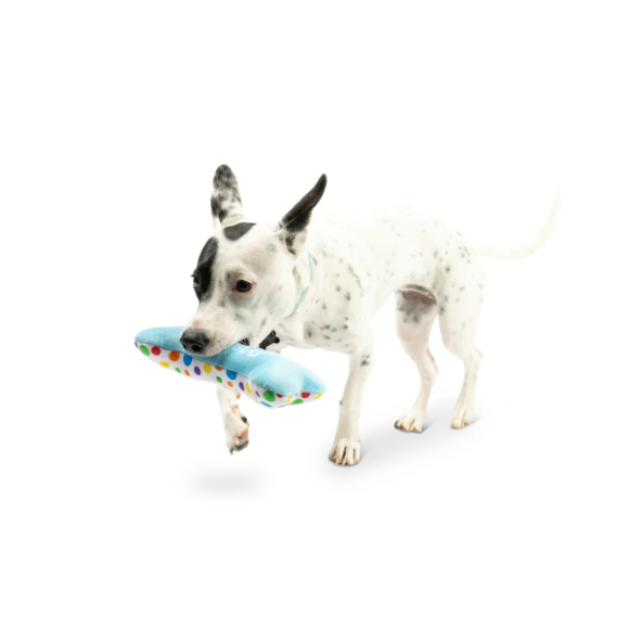 Huxley & Kent - It's My Barkday Bone