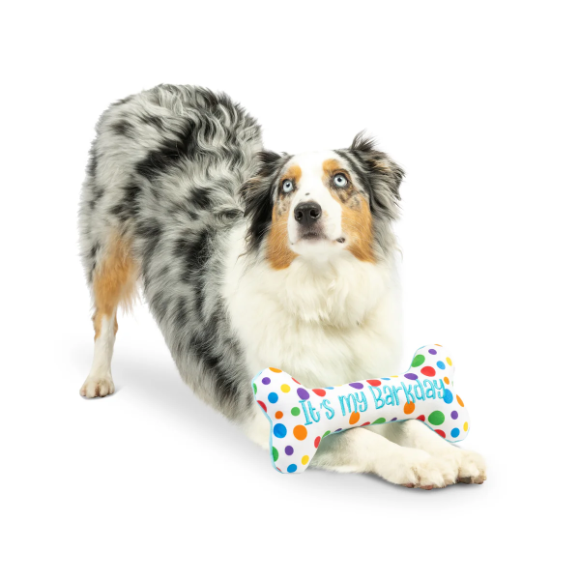 Huxley & Kent - It's My Barkday Bone