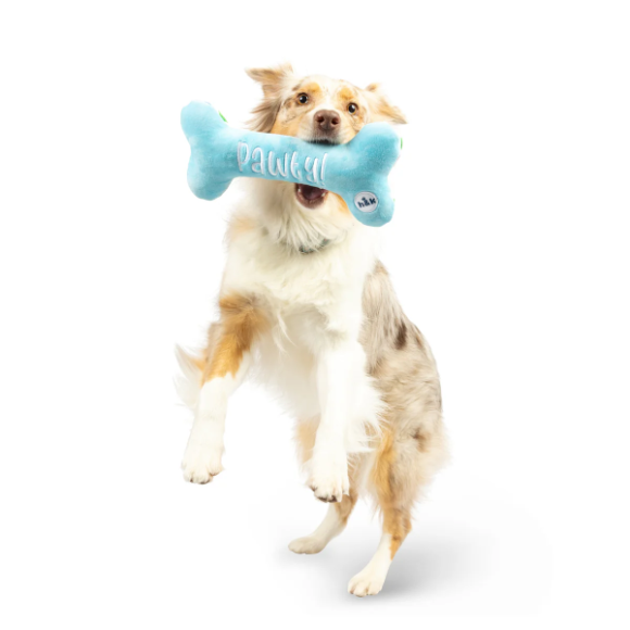 Huxley & Kent - It's My Barkday Bone