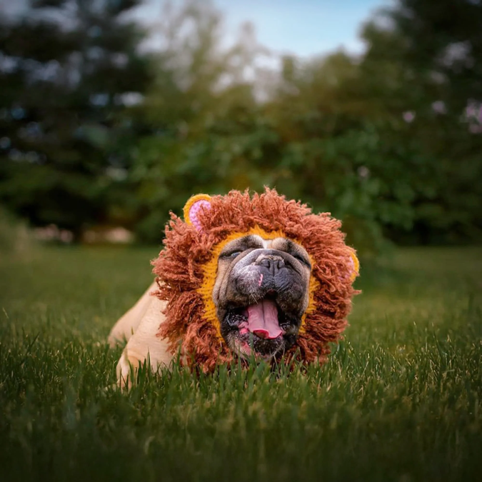 Zoo Snoods - Lion