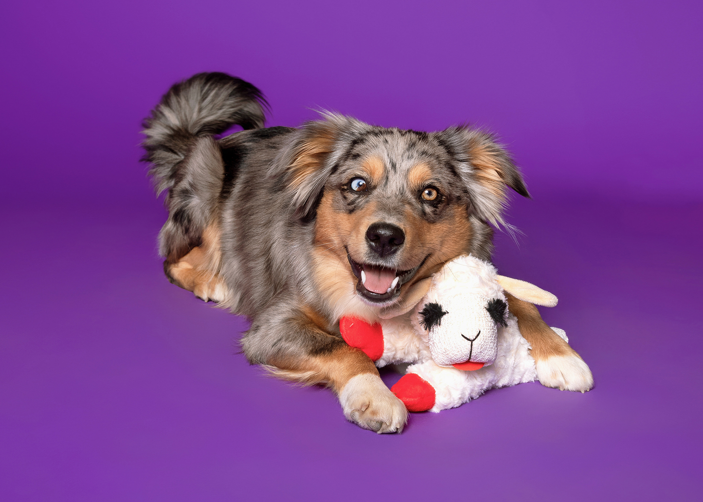 Multipet - Original Lamb Chop Dog Toy