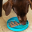 Messy Mutts - Silicone Interactive Feeder - Urban City