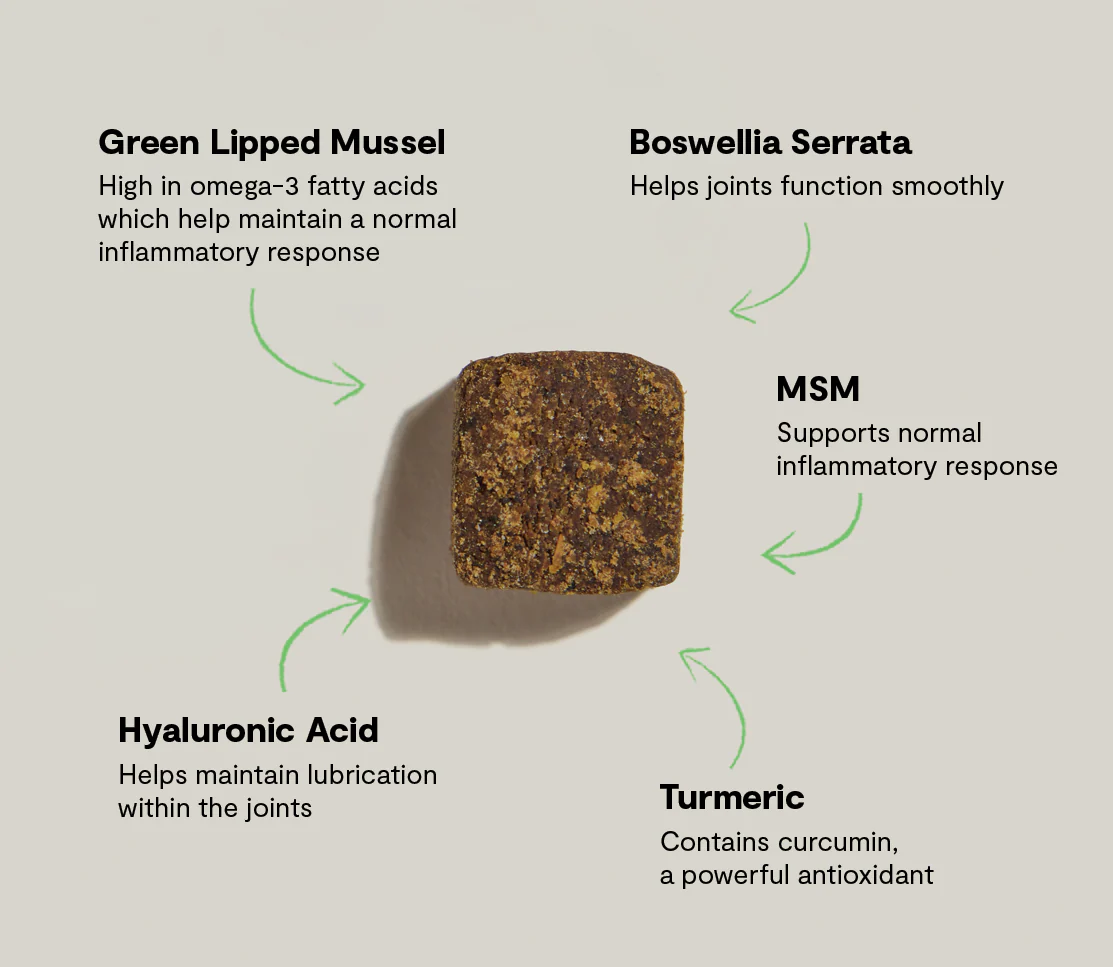 Open Farm - Hip & Joint Supplement Chews for Dogs