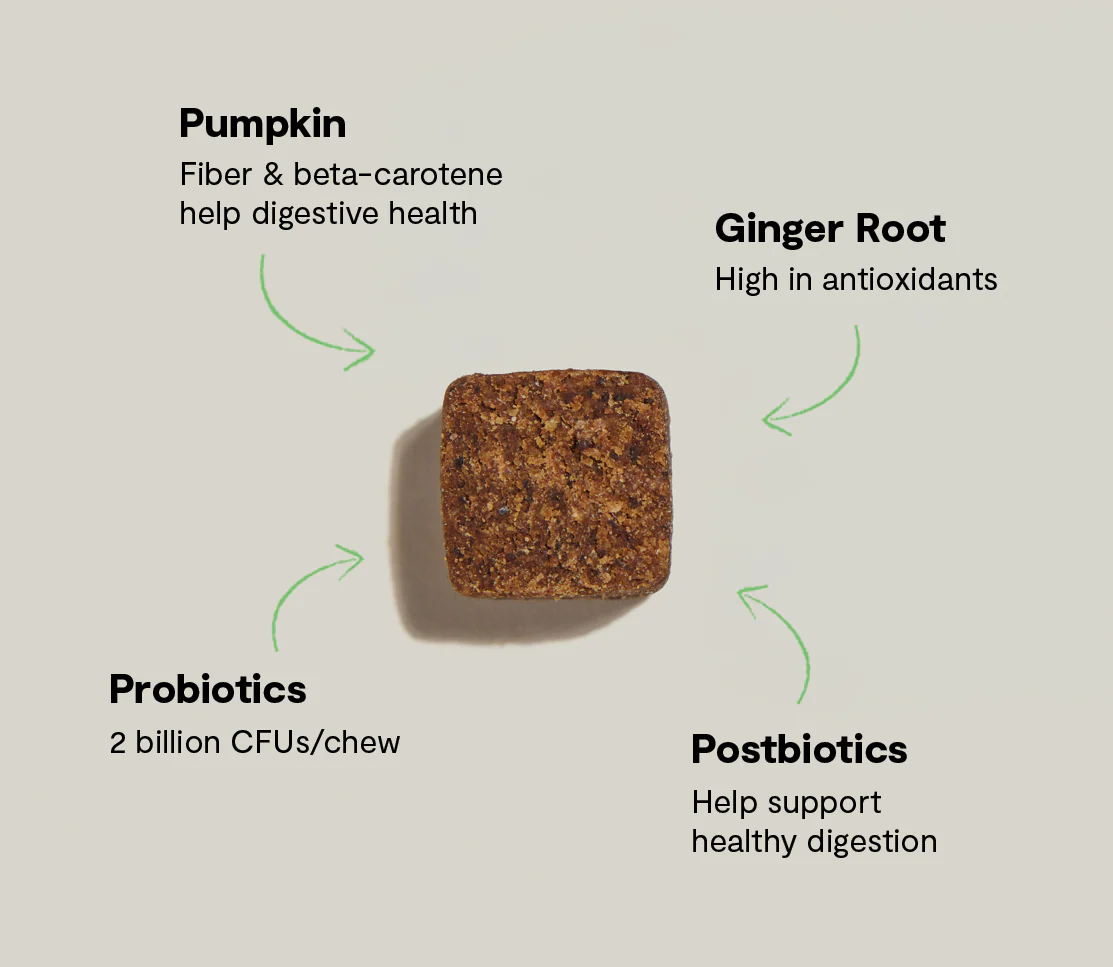 Open Farm - Probiotic Supplement Chews for Dogs