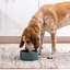Open Farm - Icelandic Seafood Mousse for Dogs