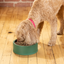 Open Farm - Air-Dried Dog Food