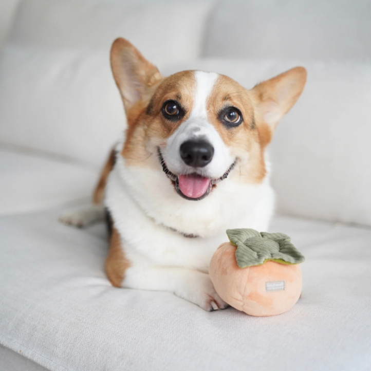 Lambwolf Collective - Persimmon Dog Toy