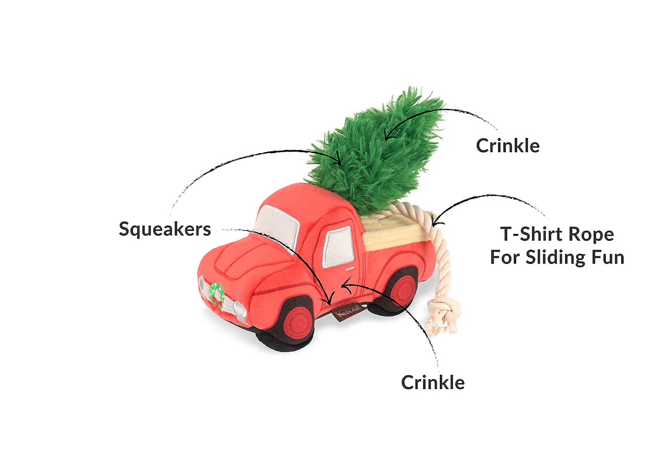 P.L.A.Y. - Home for the Holidays Holiday Hauler